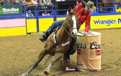 Smalygo Turns in Fastest Time of 2022 Wrangler NFR in Round 8
