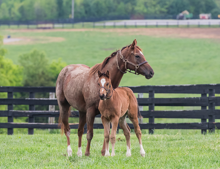 futurity